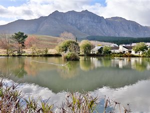 3 Bed House in Paradyskloof