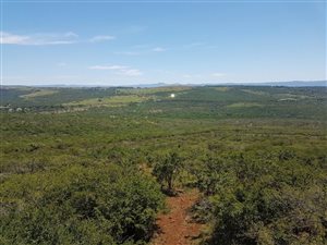 101 ha Farm in Ashburton