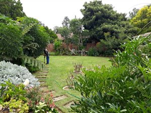 3 Bedroom Townhouse in Pioneer Park