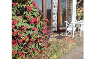 1 Bedroom House in Bluff