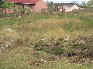 421 m² Land available in Gamalakhe A