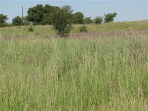 4 ha Farm in Mooiplaats AH