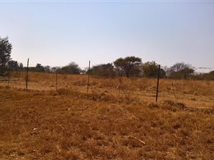 3.5 ha Land available in Grootvlei AH