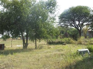 5.5 ha Farm in Roodeplaat