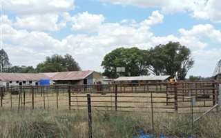 290.1 ha Farm in Lichtenburg