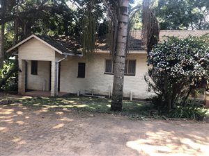 5 Bed House in White River