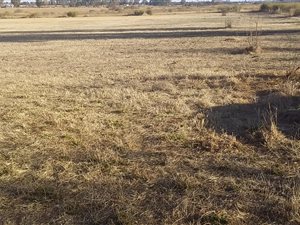 2.3 ha Land available in Rosashof