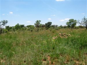 12 m² Land available in Onderstepoort