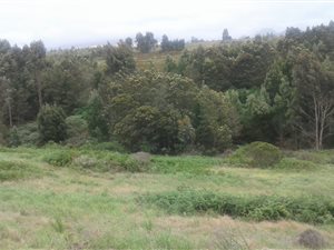 1130 m² Land available in Welgelegen