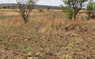 4 ha Farm in Mooiplaats AH