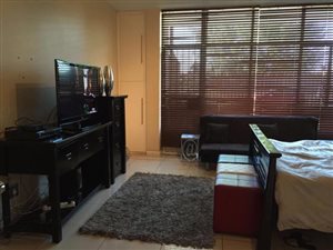 Bachelor apartment in Dinwiddie