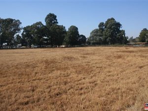 1 ha Land available in Bapsfontein