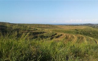84 ha Farm in Izotsha