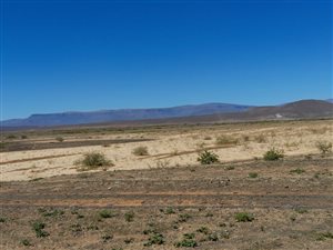 3888 ha Farm in Calvinia