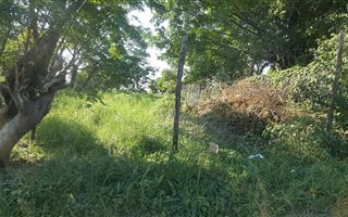 1012 m² Land available in Springfield Park