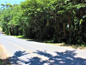 1134 m² Land available in Leisure Bay