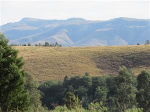 20.2 ha Land available in Currys Post