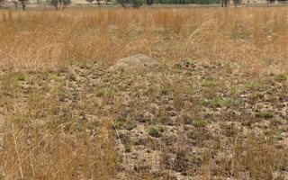 4 ha Farm in Mooiplaats AH