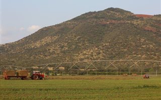70 ha Farm in Thabazimbi