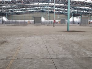 11200 m² Industrial space in Springfield Park