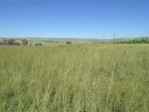 20 ha Land available in Rayton