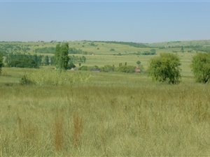 20 ha Land available in Rayton