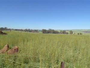 20 ha Land available in Rayton