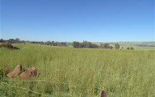 20 ha Land available in Rayton