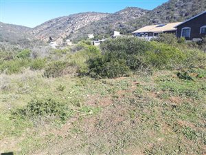 993 m² Land available in Island View