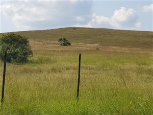 21.4 ha Land available in Honingklip AH
