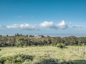 2.5 ha Land available in Chelsea