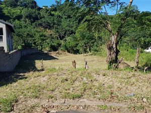 1221 m² Land available in Sandfield