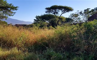 Commercial space in Louis Trichardt