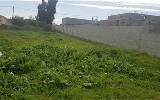 1001 m² Land available in Sunbird Park