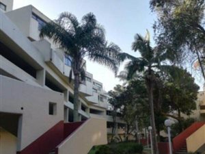 1 Bed Apartment in Paradise Valley