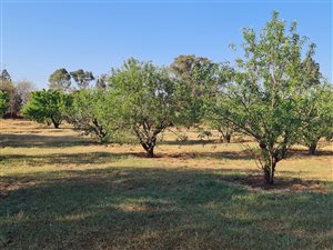 8.6 ha Farm in Tarlton