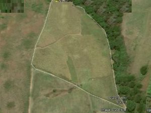 4.7 ha Farm in Shakaskraal