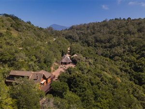 2 ha Farm in Wilderness Heights