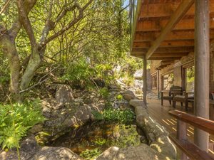 2 ha Farm in Wilderness Heights