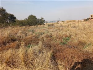 663 m² Land available in Berg en Dal