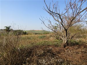 6171 m² Land available in Shakaskraal