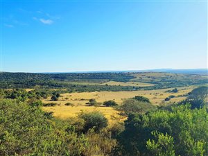 610 ha Farm in Alexandria