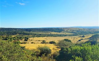 610 ha Farm in Alexandria