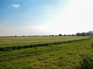 283 ha Farm in Potchefstroom Central