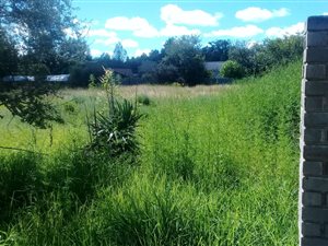 1600 m² Land available in Ladybrand