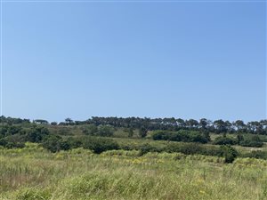 7847 m² Land available in Shakas Head