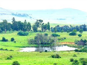 1150 ha Farm in Estcourt