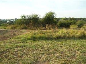 1000 m² Land available in Pebble Rock