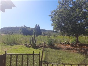 39 ha Farm in Hartbeesfontein