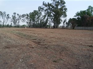 1139 m² Land available in Kookrus